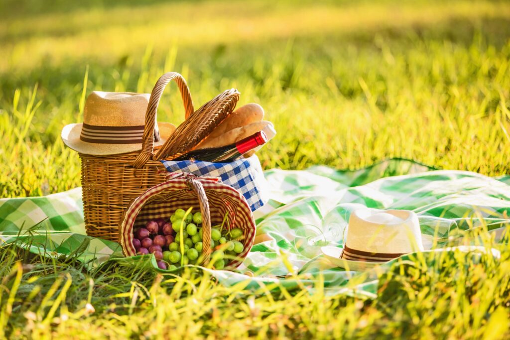 things to take for a picnic 