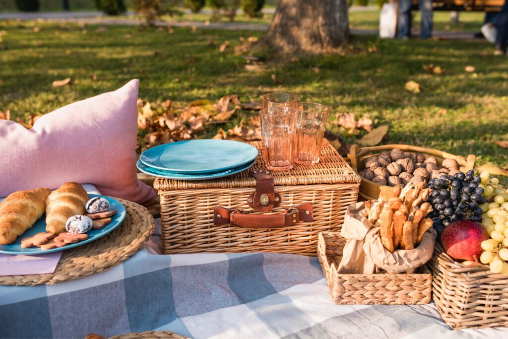 What Is a Picnic Meaning & History