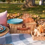 What Is a Picnic Meaning & History