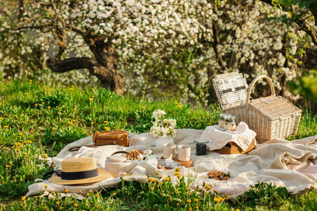 Romantic Picnic Ideas for Couples Who Want Something Special