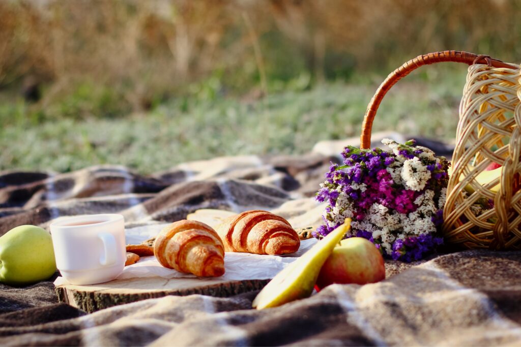 Smart Picnic Party Setup Tips for a Stress-Free Outdoor Gathering